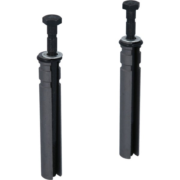 Zwei Spreizdübel mit Schraube und Unterlegscheibe