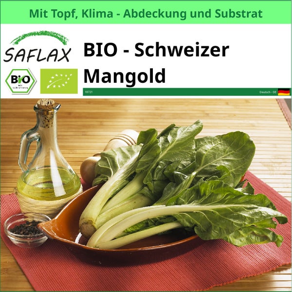 SAFLAX Garden to go - BIO - Schweizer Mangold - Beta vulgaris subsp. vulgaris - 150 Samen - Mit Topf, Klima - Deckel und Anzuchtsubstrat