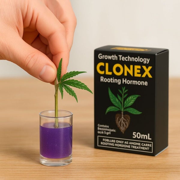 Growth Technology Clonex Bewurzelungshormon, Anwendung von Bewurzelungsgel bei einem Pflanzensteckling, 50 Milliliter Packung.