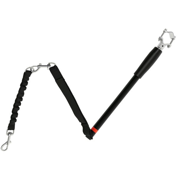 Fahrradhalterung für Hunde mit Leine