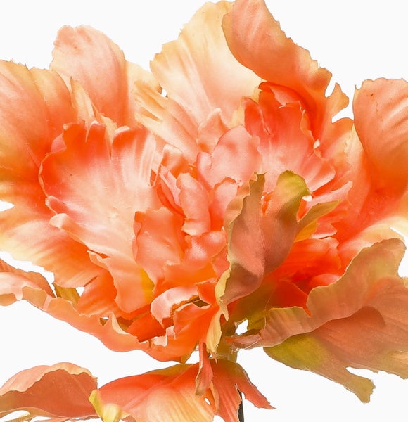 Künstliche Pflanzenwand mit Farnen und großblättrigen Pflanzen auf Moos.