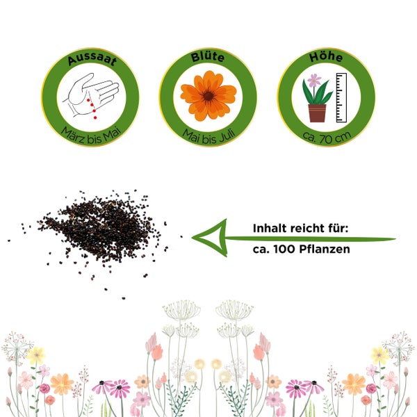 Symbol für Aussaat März bis Mai, Blütezeit Mai bis Juli und Wuchshöhe circa 70 Zentimeter. Samen ausreichend für circa 100 Pflanzen.