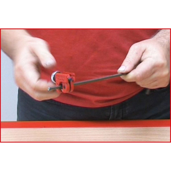 Bambuspflanze im Gartenbeet