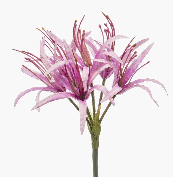 Künstliche Blume Nerine am Stiel mit mehreren violetten Blüten.