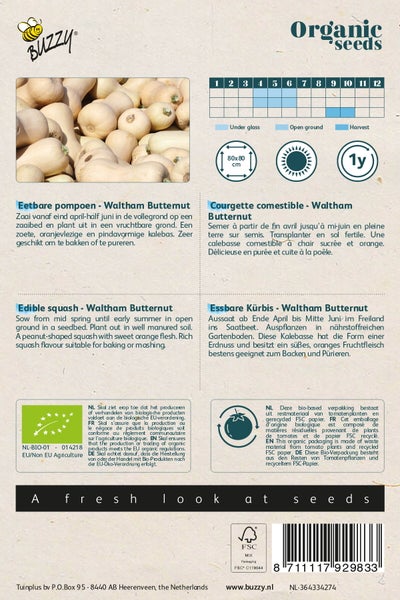 Samenpackung für Waltham Butternut Speisekürbis für den Anbau im Garten