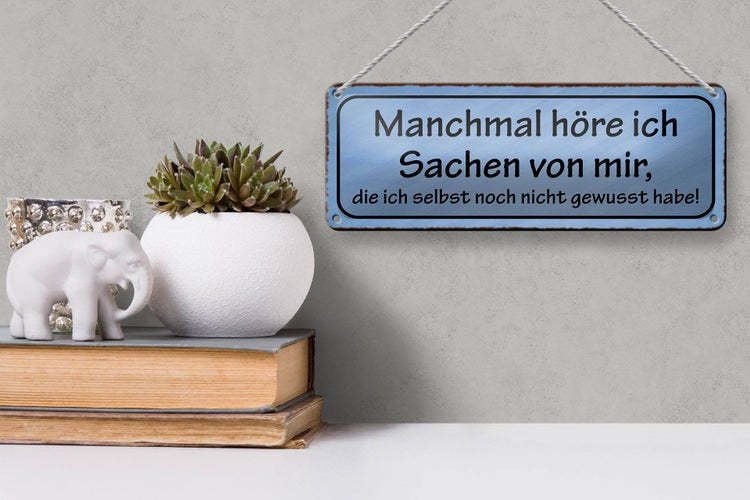 Blechschild Spruch 27x10cm manchmal höre ich Sachen von mir Dekoration
