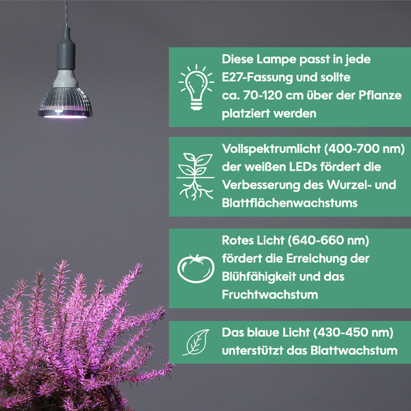 Parus by Venso LED Pflanzenlampe Vollspektrum Cultura LED Lampe E27 18W 60°, Wachstumslampe für Pflanzen wie Kräuter-, Gemüse- und Blühpflanzen, Parus Pflanzenlampe LED Vollspektrum Pflanzenlicht