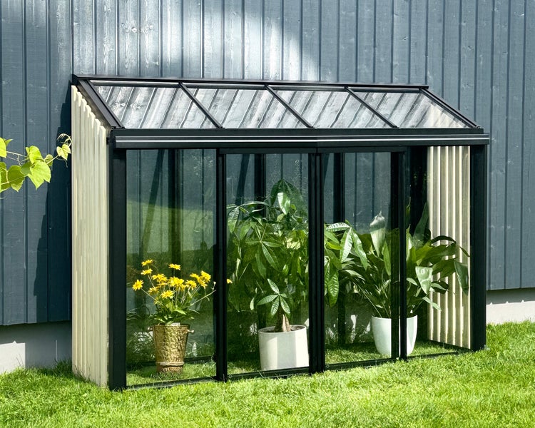 Kleines Anlehngewächshaus mit schwarzem Aluminiumrahmen, Seitenwänden aus hellen Holzlamellen und Glasfront, auf Rasen vor einer grauen Holzwand.