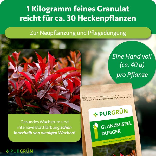 Purgrün Glanzmispel-Dünger 1 kg