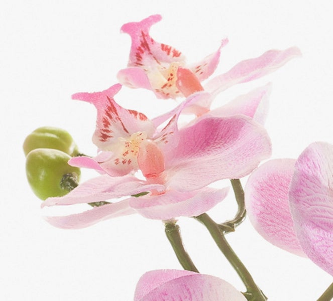 Künstliche Orchidee mit rosa Blüten und grünem Stiel in Nahaufnahme.