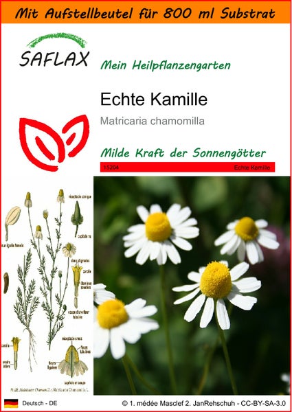 SAFLAX Garden in the bag - Echte Kamille - Matricaria chamomilla - 300 Samen - Mit Anzuchtsubstrat im praktischen, selbst aufstellenden Beutel