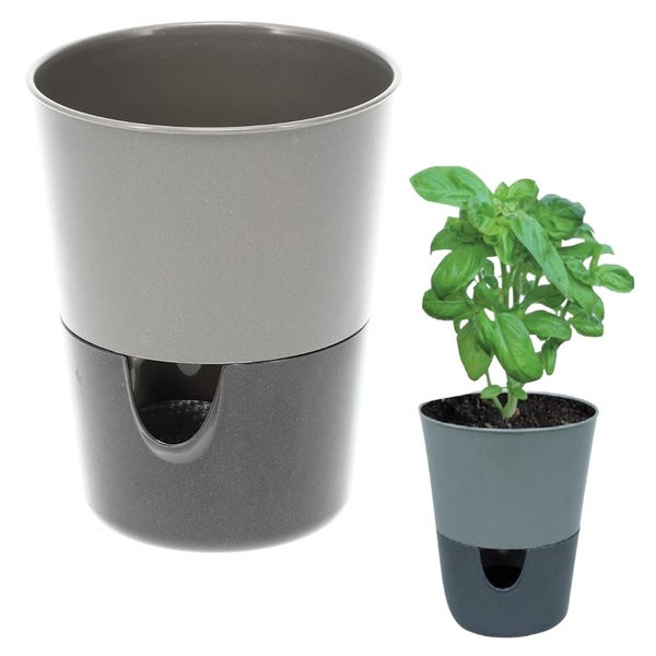 Kräutertopf mit Bewässerungssystem Kräutergarten Küche Balkon Fensterbank Selbstbewässernd Glänzend Kräuterbeet Kräuter Blumen Topf hell + dunkel anthrazit