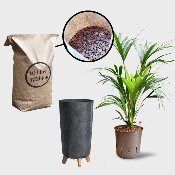 Pflanzenszene mit Blähton-Sack, Pflanze und Pflanzgefäß