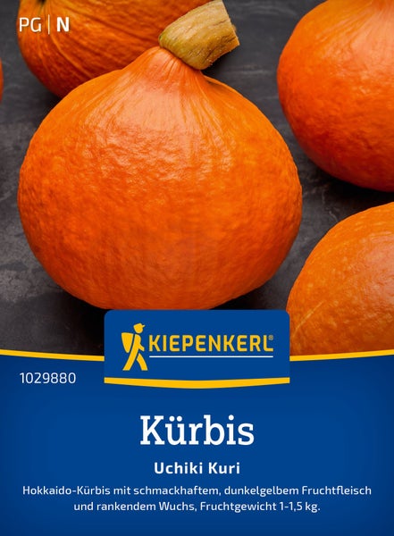 Kiepenkerl Kürbis Uchiki Kuri Samen für Hokkaido Kürbis mit dunkelgelbem Fruchtfleisch