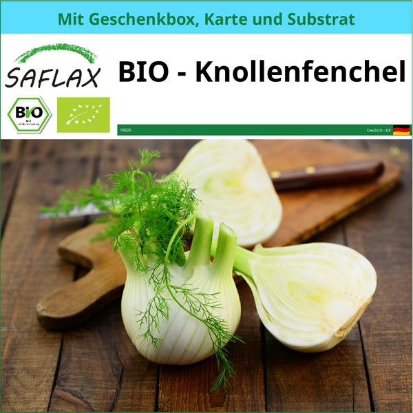 SAFLAX Geschenk Set - BIO - Knollenfenchel - Foeniculum vulgare var. azoricum - 100 Samen - Mit Geschenkbox, Versandaufkleber, Geschenkkarte und Anzuchtsubstrat