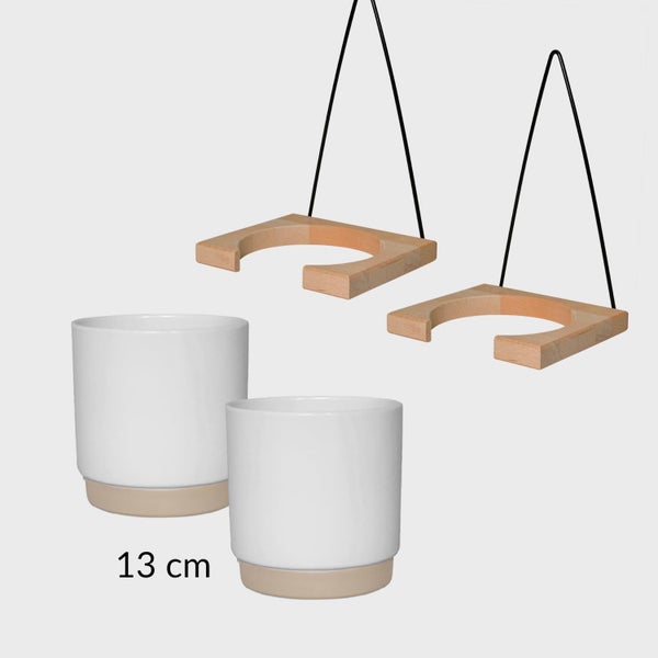 Grünlilie & Efeutute – Hängendes Zimmerpflanzen Starterpack - 2 Rankende Zimmerpflanzen - Höhe 15-25 cm - Töpfe 10,5-12 cm - mit Wandhänger-Set