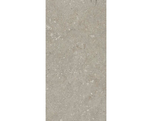 Wand- und Bodenfliese Shellstone taupe 30x60cm
