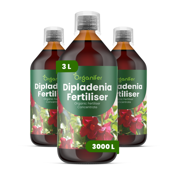Organifer Dipladenia Dünger, organisches Düngerkonzentrat, drei Flaschen, insgesamt 3 Liter für 3000 Liter Gießwasser.