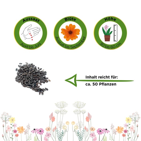 Lavendel Echter Samen von Deine Gartenwelt