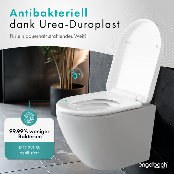 Teller mit gebratenen Zucchinischeiben und Kräutern