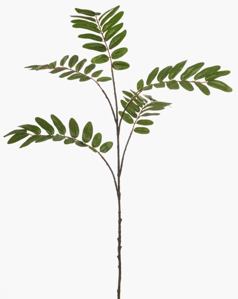 Künstlicher Zweig mit grünen gefiederten Blättern und dunkelbraunem Stiel.