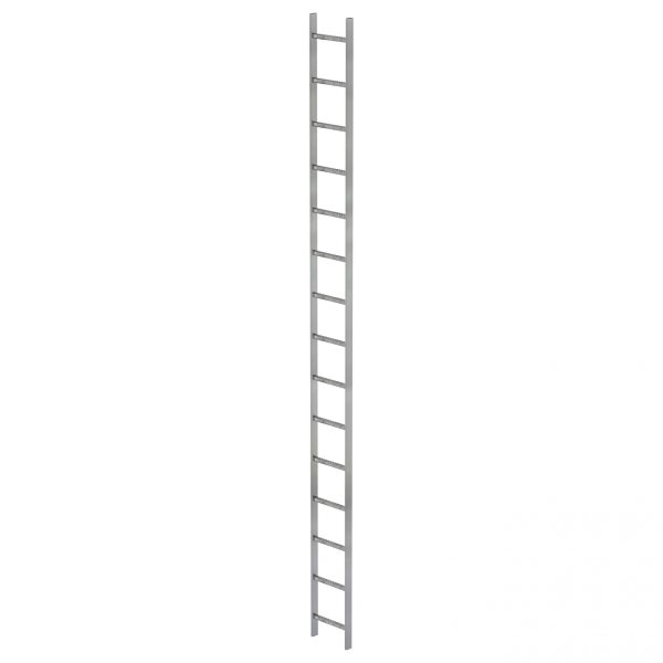 Eine einzelne, lange, gerade Steigleiter aus Metall.