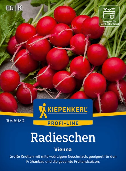 Saatgut Radieschen Vienna von Kiepenkerl Profi Line für den Anbau in Hochbeet und Kübel mit mildem Geschmack.