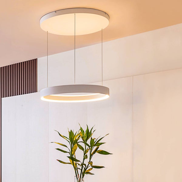 Moderne ringförmige LED-Pendelleuchte und kreisförmige Deckenleuchte aus Metall in einem hellen, minimalistischen Wohnraum mit Zimmerpflanze.