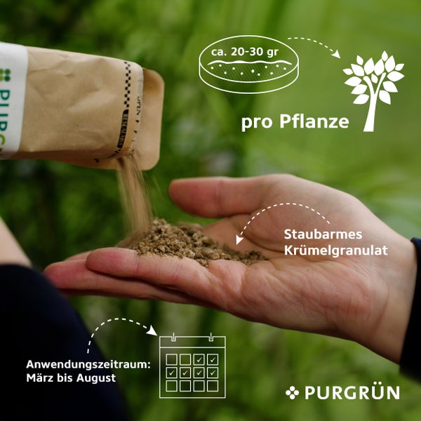 Purgrün Liguster-Dünger 1 kg