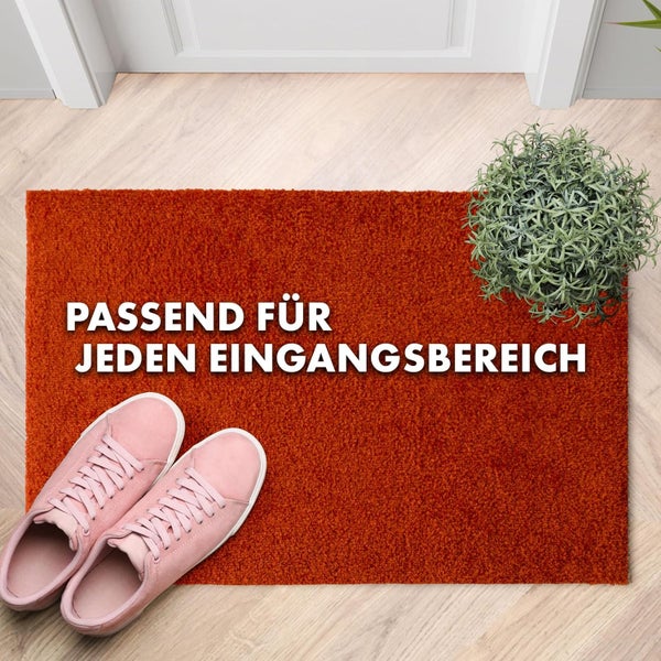 FLOORDIREKT Fußmatte Domenico - stilvolle & praktische Schmutzfangmatte - Rot - 50 x 80 cm