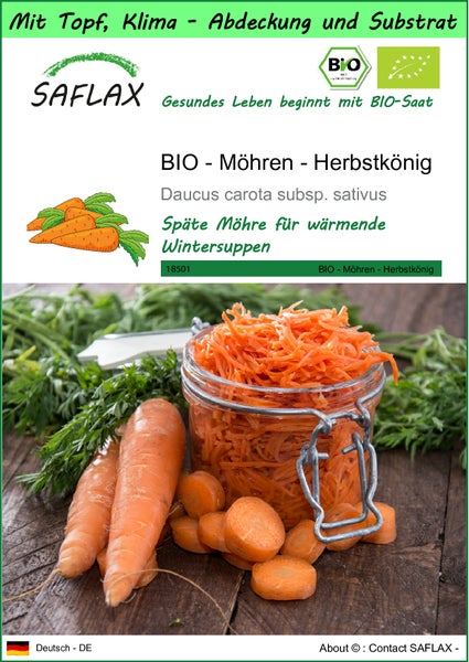 SAFLAX Garden to go - BIO - Möhren - Herbstkönig - Daucus carota subsp. sativus - 1000 Samen - Mit Topf, Klima - Deckel und Anzuchtsubstrat