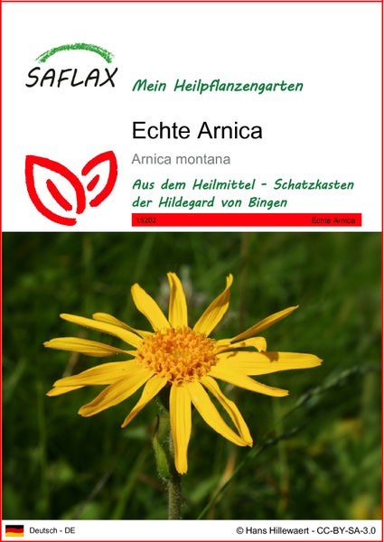 SAFLAX  - Echte Arnica - Arnica montana - 40 Samen