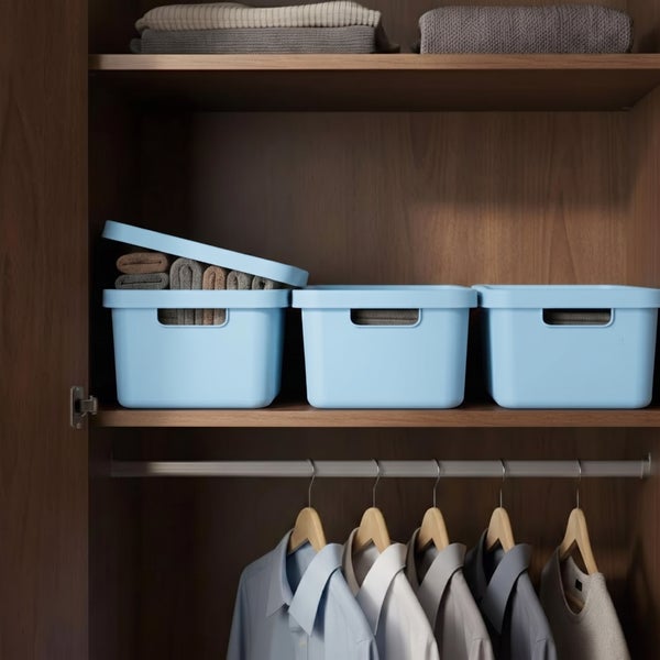 Kleiderschrank aus Holz mit Ordnungssystem aus Kunststoffboxen und Kleiderstange mit Hemden zur organisierten Aufbewahrung.