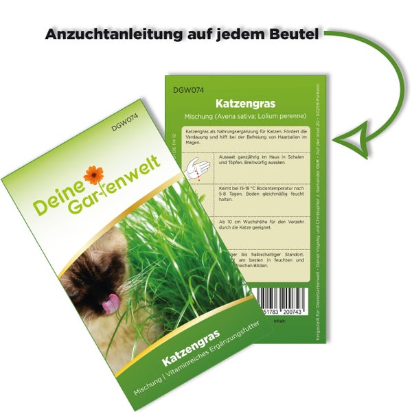 Samentüte für Katzengras von Deine Gartenwelt mit detaillierter Anzuchtanleitung auf der Beutelrückseite.