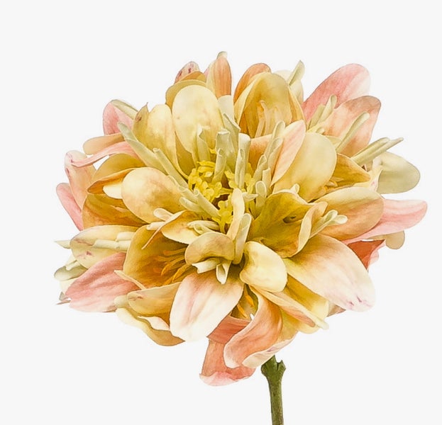 Künstliche Blüte in Pfirsich und Creme mit mehrlagigen Blütenblättern.