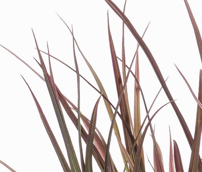 Künstliche Gerbera mit rosafarbenen Blütenblättern und grünem Stiel.