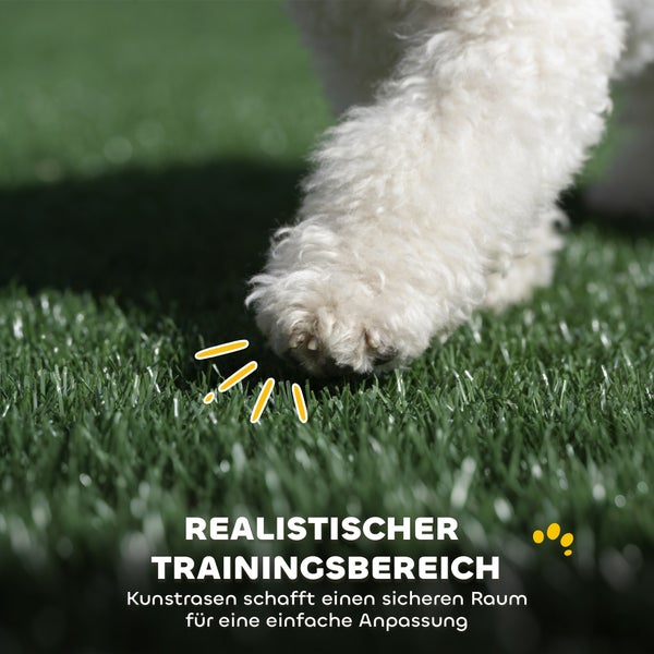 Hundepfote auf Kunstrasen als realistischer Trainingsbereich für Haustiere.