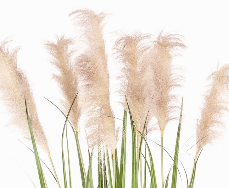 Künstliches Schilfgras mit grünen Halmen und schmalen Blättern.