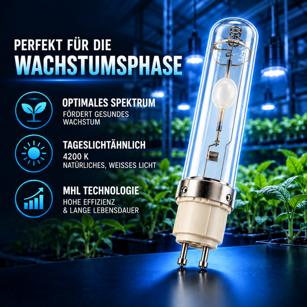 Metallhalogenidlampe fuer die Pflanzenzucht mit vier tausend zweihundert Kelvin fuer die Wachstumsphase in einer Gärtnerei.