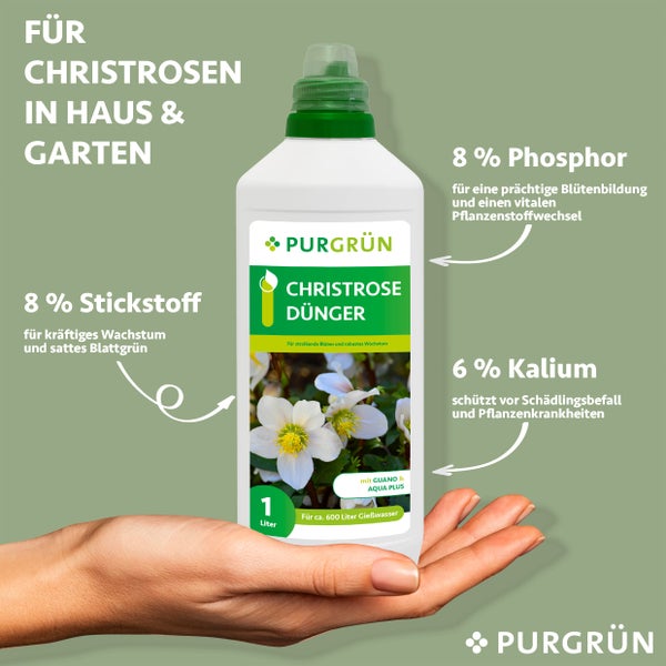 Purgrün Christrose-Dünger 1 Liter