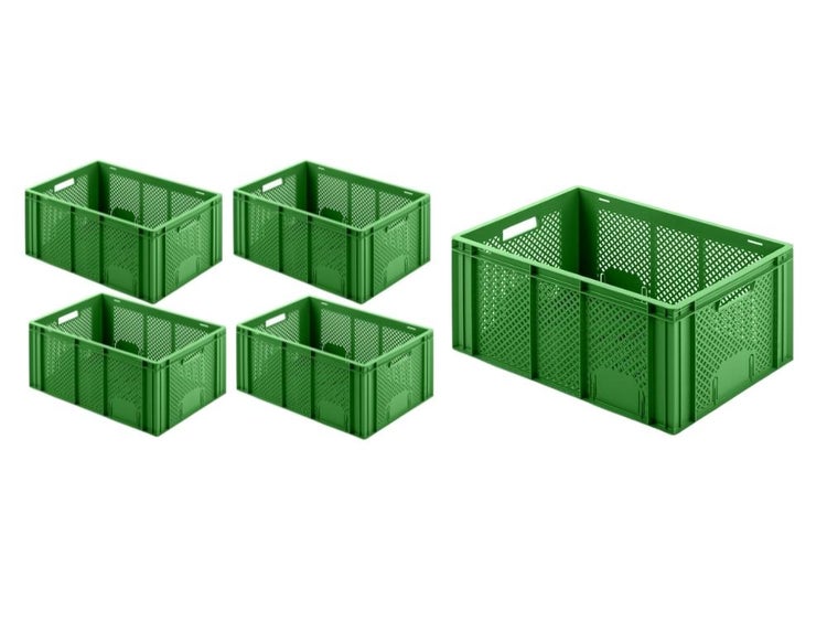 PROREGAL SparSet 5 x Eurobehälter Obst- und Gemüsekasten HxBxT 27,4 x 40 x 60 cm 54 Liter Grün Obst-Gemüsekiste Obstkorb Transportbox