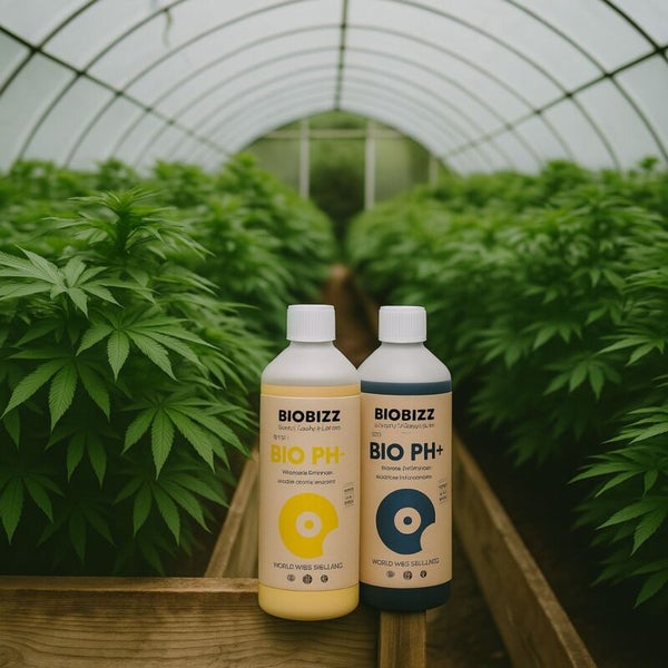Biobizz Bio pH- und Bio pH+ zur pH-Wert-Regulierung in einem Gewächshaus mit Pflanzenreihen.