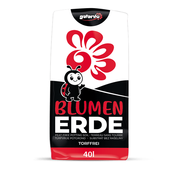 Galamio Blumenerde, torffrei, 40 Liter Packung mit Marienkäfer Abbildung.