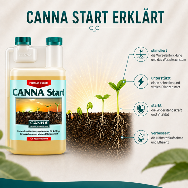 CANNA Start Wurzelstimulator in Flasche mit Infografik zu Wirkungsweise für Pflanzenwachstum und Wurzelentwicklung.