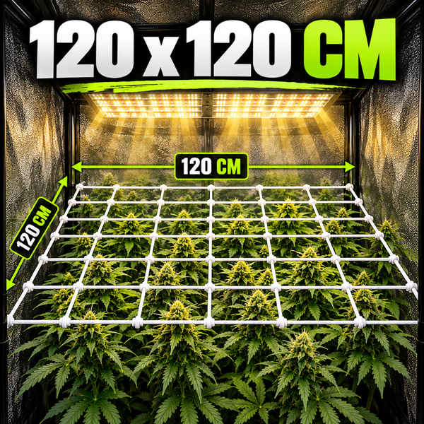 Pflanzennetz fuer Growbox mit den Massen 120 mal 120 Zentimeter zur Unterstuetzung des Wachstums in einer Indoor Pflanzenzuchtanlage