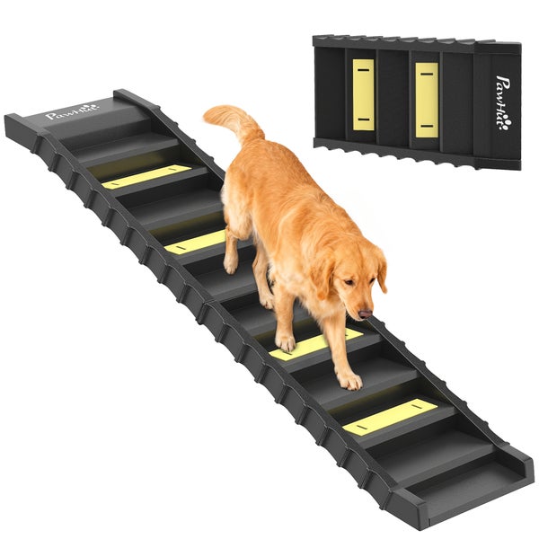 PawHut klappbare Hundetreppe aus Kunststoff mit rutschhemmenden Streifen, ein Golden Retriever läuft die Stufen hinunter.