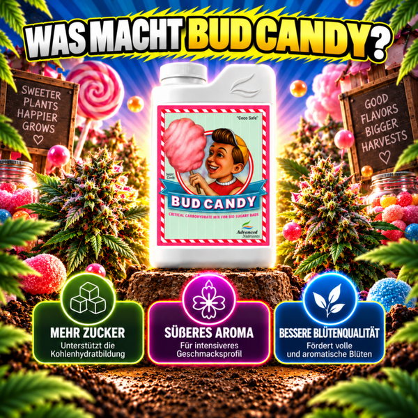 Advanced Nutrients Bud Candy Pflanzendünger Flasche umgeben von Cannabisblüten und Süßigkeiten Symbolen mit Erklärungen zu Inhaltsstoffen und Nutzen