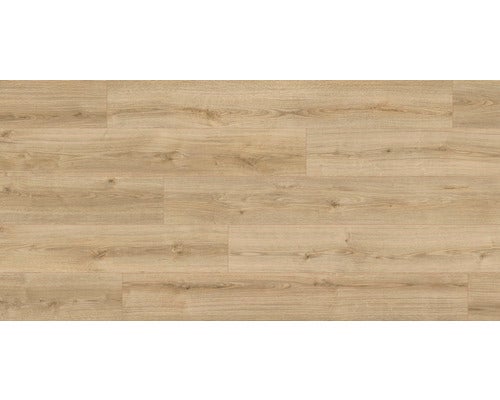 Laminat 8.0 Oak Evoke Classic