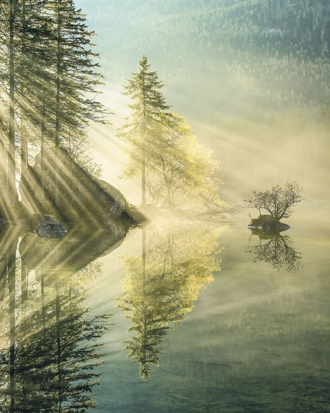Morgenlandschaft mit Bäumen und Nebel am See