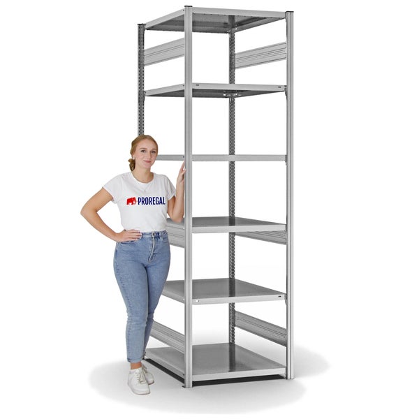 PROREGAL Fachbodenregal Stecksystem T-Profil Heavy-Duty Grundregal HxBxT 250 x 75 x 80 cm 6 Ebenen Fachlast 330 kg Beidseitig Nutzbar Verzinkt